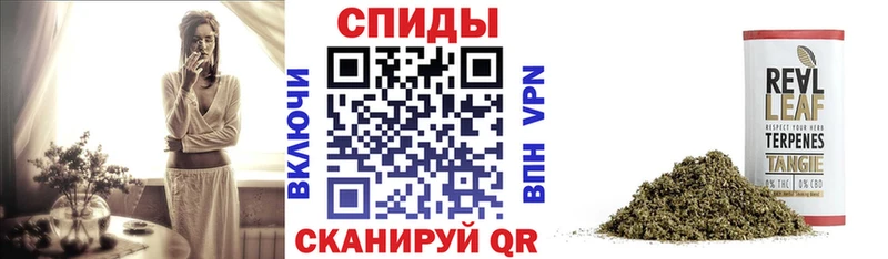 хочу наркоту  Кировск  Бутират буратино 