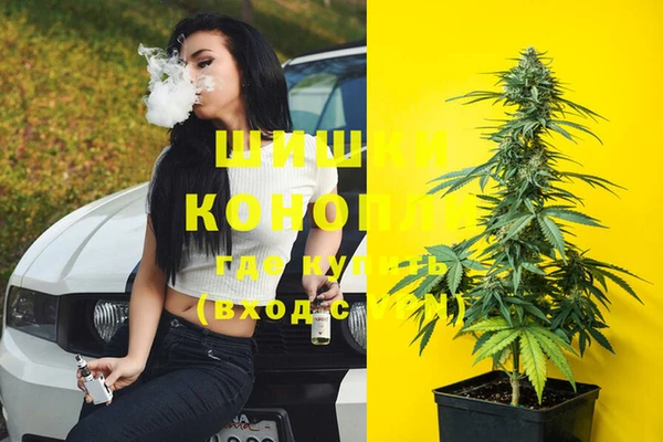 спайс Белокуриха